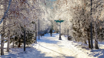 Фотография к новости: 12 ақпанға арналған ауа райы болжамы