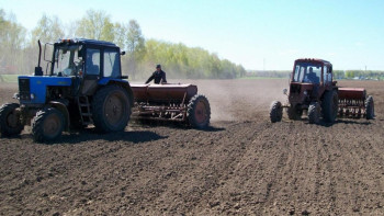 Фотография к новости: Түркістан облысында егістік көлемі артты