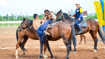 Фотография к новости: Елордада «Аударыспақ алыптары» сайысы өтуі мүмкін
