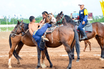 Фотография к новости: Елордада «Аударыспақ алыптары» сайысы өтуі мүмкін