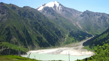 Фотография к новости: Эколог жер бетіндегі тіршілік иесінің қашан жойылатынына болжам жасады