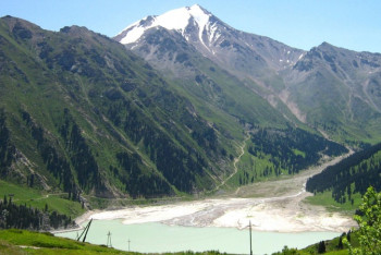 Фотография к новости: Эколог жер бетіндегі тіршілік иесінің қашан жойылатынына болжам жасады