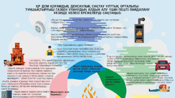 Фотография к новости: Пешті пайдалану кезінде қандай ережерелді сақтау керек – ҚДСҰО