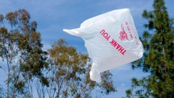 Фотография к новости: Ыстық көл аумағына полиэтилен бұйымдарды кіргізбеу ұсынылды