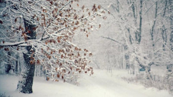 Фотография к новости: 16-18 ақпанға арналған ауа райы болжамы