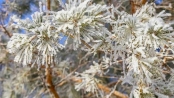 Фотография к новости: Еліміздің тағы бір аймағында дауылды ескерту жарияланды