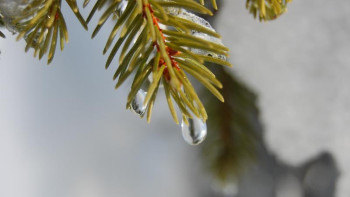 Фотография к новости: Алдағы үш күнге арналған ауа райы болжамы