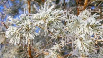 Фотография к новости: 20 ақпанға арналған ауа райы болжамы