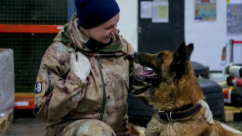 Фотография к новости: Профессионал. Әуежай сақшысы Турман
