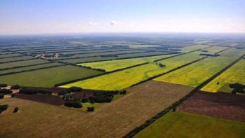 Фотография к новости: ШҚО-да шаруашылық жерлердің электрондық картасы жасалуда