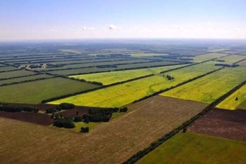 Фотография к новости: ШҚО-да шаруашылық жерлердің электрондық картасы жасалуда