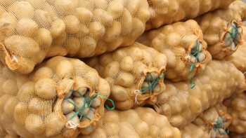 Фотография к новости: Азық-түлік экспортына тыйым: Қырғызстан делегациясы Астанаға келеді