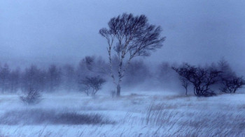 Фотография к новости: Қазақстанның бірқатар облысында дабылды ескерту жарияланды