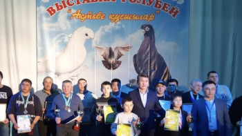 Фотография к новости: Ақтөбеде халықаралық көгершіндер көрмесі өтті