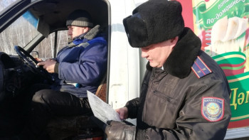 Фотография к новости: Петропавл полицейлері борышкерлерден 13 миллион теңге өндірді