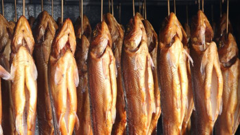 Фотография к новости: Қытайдан Қазақстанға заңсыз балық тасымалдаған қырғызстандық ұсталды