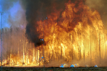 Фотография к новости: Табиғи апаттардан қаржылық қорғанудың механизмі талқылануда