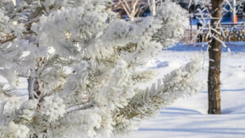 Фотография к новости: Бүгін Қазақстанның басым бөлігінде тұрақсыз ауа райы сақталады