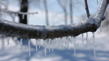 Фотография к новости: Қыстың соңғы күніне арналған ауа райы болжамы