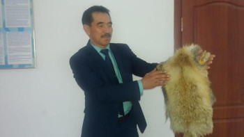 Фотография к новости: Қызылордалық тұрғын тері илеу әдісін меңгерген