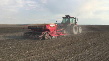 Фотография к новости: СҚО-да бірінші рет соя егіледі 