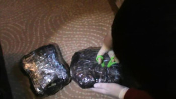 Фотография к новости: Алматы облысында заңсыз есірткі айналымының ірі партиясы әшкереленді