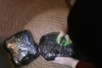 Фотография к новости: Алматы облысында заңсыз есірткі айналымының ірі партиясы әшкереленді