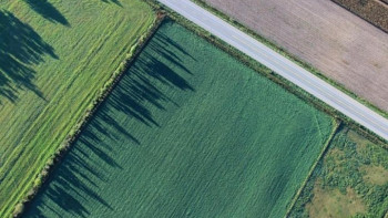 Фотография к новости: ШҚО-дағы бос жер телімдері үш жыл ішінде электронды базаға толық енгізілмек