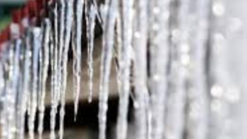 Фотография к новости: Павлодарлық оқушы мұз сүңгіден зардап шекті