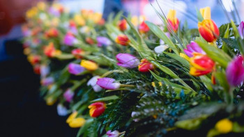 Фотография к новости: Астанада Халықаралық аналар күні қайда баруға болады