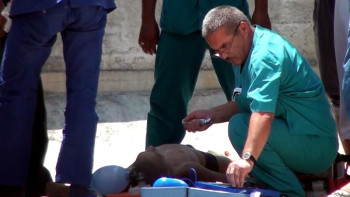 Фотография к новости: Елімізде бір жылда 300 адам жұмыс орнында қаза табады