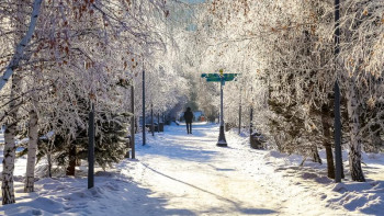 Фотография к новости: Бүгін еліміздің басым бөлігінде тұман түсіп, жел күшейеді