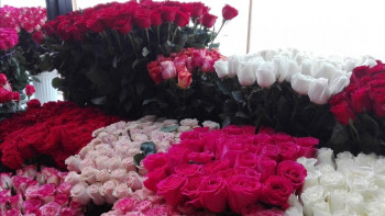 Фотография к новости: Көктем шуағы. Шымкенттің гүл сататын орамы