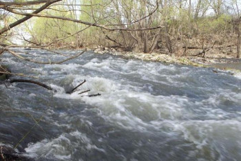 Фотография к новости: Кейбір елдімекенді су басу қаупі төніп тұр