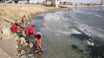 Фотография к новости: Атырау тұрғындары Жайық өзеніндегі өлі балықтарды жинауға қатысты