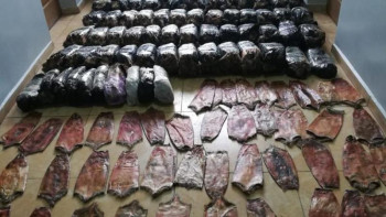 Фотография к новости: 3,5 мың ондатр терісін заңсыз тасымалдағандар ұсталды