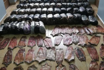 Фотография к новости: 3,5 мың ондатр терісін заңсыз тасымалдағандар ұсталды