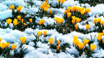 Фотография к новости: Алдағы үш күнге арналған ауа райы болжамы