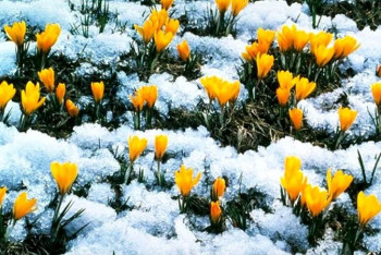 Фотография к новости: Алдағы үш күнге арналған ауа райы болжамы