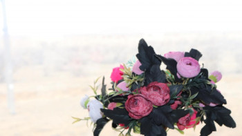 Фотография к новости: «Наурызда ... барамын!». Ұлы Даланың Наурызы