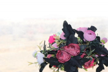 Фотография к новости: «Наурызда ... барамын!». Ұлы Даланың Наурызы