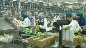 Фотография к новости: Әлеуметтік қамқорлық: Павлодар облысында 25 мыңнан астам азамат жұмыспен  қамту бағдарламасына қатысады