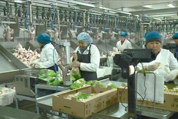 Әлеуметтік қамқорлық: Павлодар облысында 25 мыңнан астам азамат жұмыспен  қамту бағдарламасына қатысады