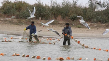 Фотография к новости: Атырауда балық аулау маусымы басталды