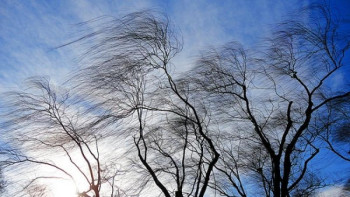 Фотография к новости: Еліміздің бірқатар өңірінде жел күшейе түседі 