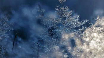 Фотография к новости: Алдағы үш күнге арналған ауа райы болжамы 