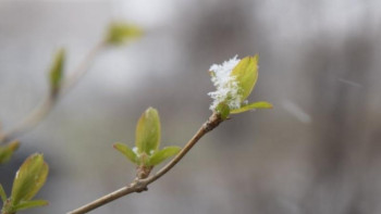 Фотография к новости: Бүгін елімізде тұрақсыз ауа райы күтіледі