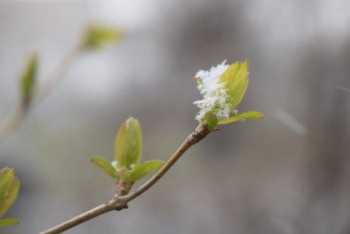 Фотография к новости: Бүгін елімізде тұрақсыз ауа райы күтіледі