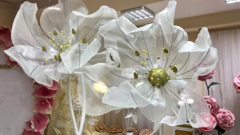 Фотография к новости: Көктем шуағы. Қарағандының гулливер гүлдері