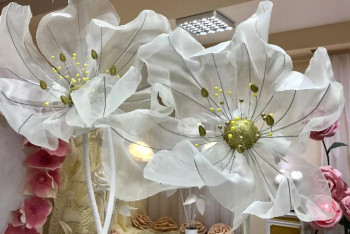 Фотография к новости: Көктем шуағы. Қарағандының гулливер гүлдері